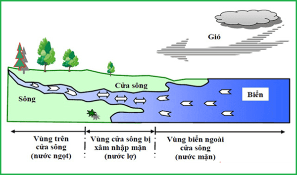 Độ mặn của nước biển là gì