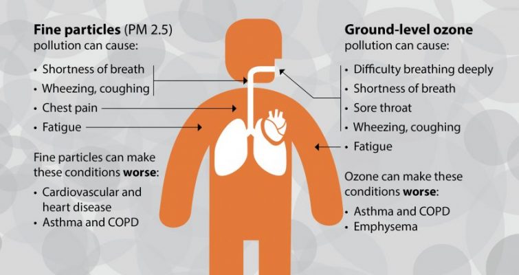 Tại sao bạn nên quan tâm tới chất lượng không khí và sức khỏe