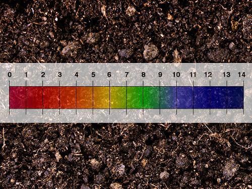 Độ pH trong đất là gì