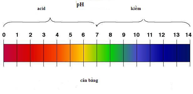 Độ pH là chỉ số giúp xác định tính chất của dung dịch