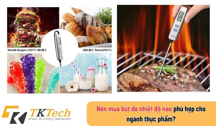 Nên mua bút đo nhiệt độ nào phù hợp cho ngành THỰC PHẨM?