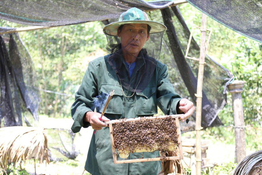 Làm giàu từ nghề nuôi ong lấy mật