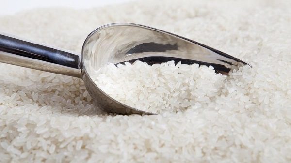 Độ ẩm của gạo đạt chuẩn là bao nhiêu?